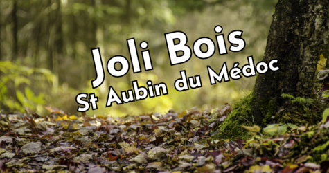 Groupe Joli Bois